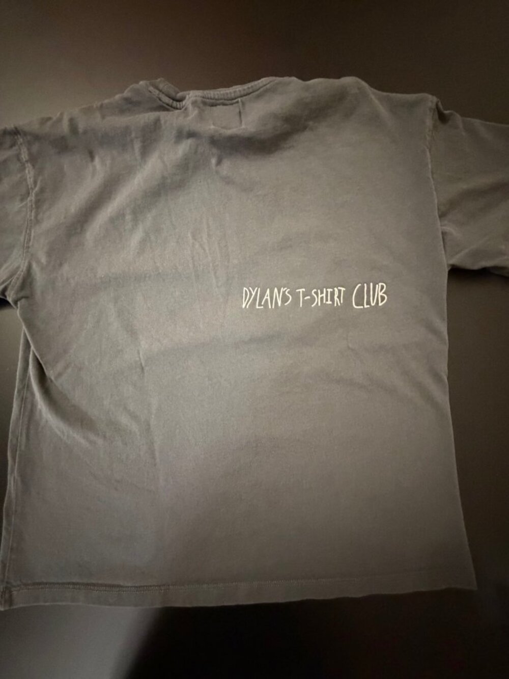 Zara Dylan's T-Shirt Club Jurassic Park Graphic Tee Charcoal